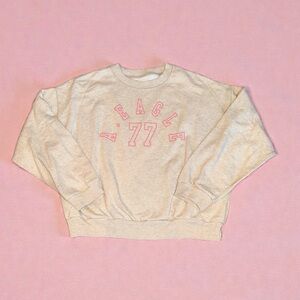 American Eagle Outfitters Sweatshirt with Pink Accents (Medium)